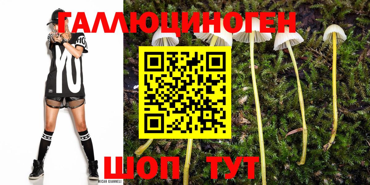 Псилоцибиновые грибы прущие грибы Артём