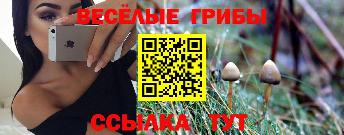 Артём  Псилоцибиновые грибы Cubensis  Вход с VPN  Галлюциногенные грибы мухоморы 