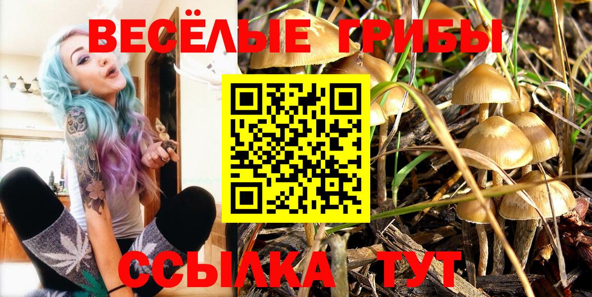 Галлюциногенные грибы Psilocybe Артём